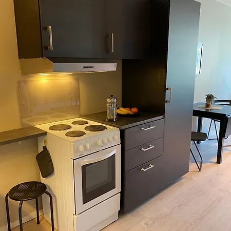 Super In A Luxurious Neighborhood - 3 Pax Apartment Oslo